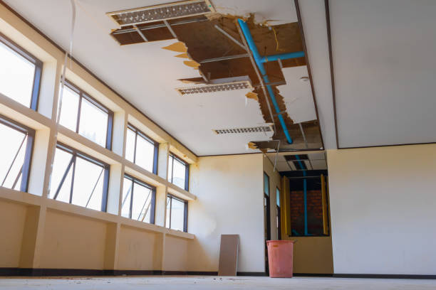 Best Water damage restoration experts  in Justice, OK