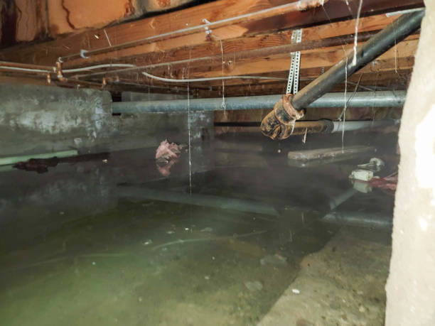 Best Ceiling water damage repair  in Justice, OK