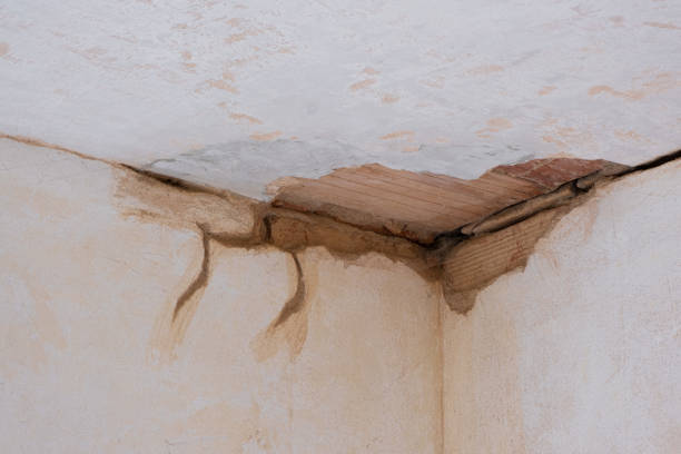 Best Professional water damage repair  in Justice, OK