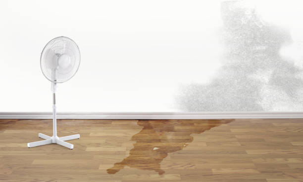 Professional Water damage restoration in Justice, OK