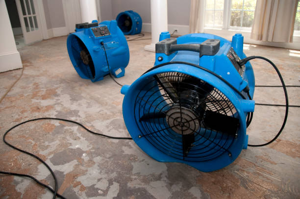 Best Water damage cleanup near me  in Justice, OK