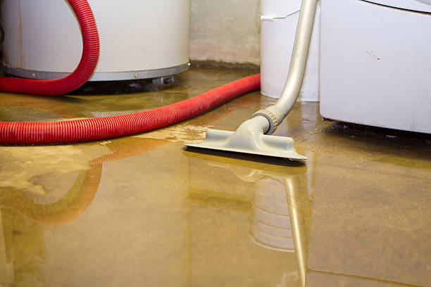 Best Water damage restoration near me  in Justice, OK