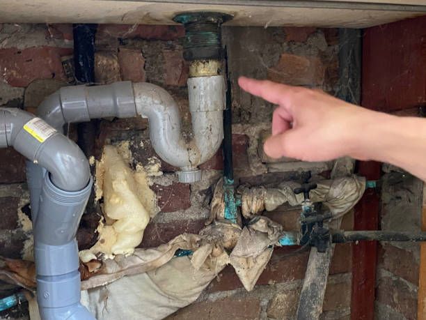 Best Water damage contractors near me  in Justice, OK